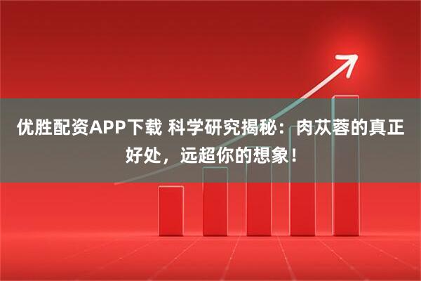 优胜配资APP下载 科学研究揭秘：肉苁蓉的真正好处，远超你的想象！